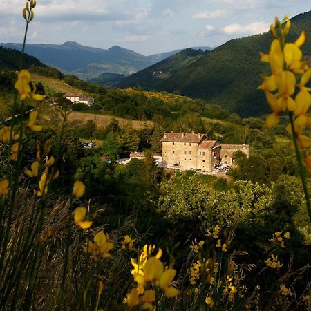 Country House Villa La Farfalla Pietralunga  Bagian luar foto