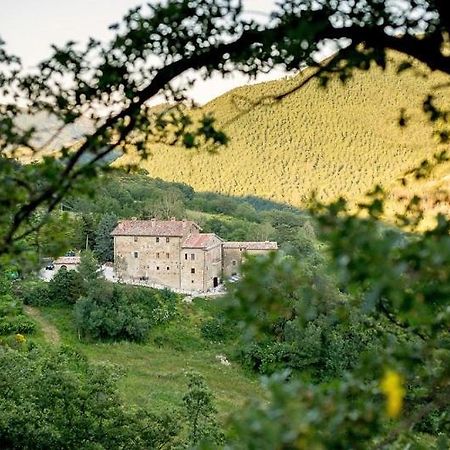 Country House Villa La Farfalla Pietralunga  Bagian luar foto