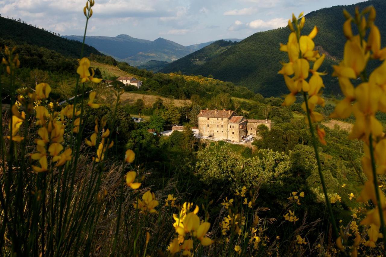 Country House Villa La Farfalla Pietralunga  Bagian luar foto